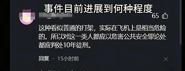深圳南航熊孩子闹事后续！处理结果大快人心，律师支招，网友怒斥