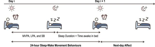追问daily|压力真的会催人老；用轻度活动替代久坐可改善次日