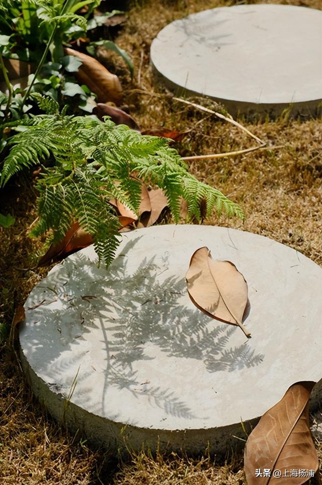 周末来复兴岛，边吃边玩放肆嗨！