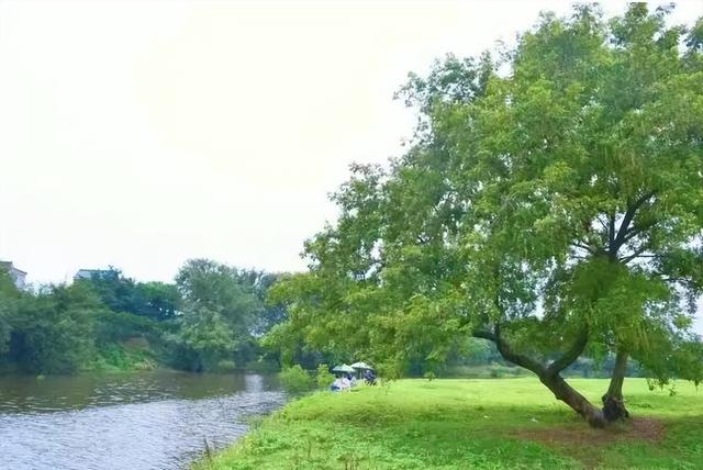 走近美丽沿江公路看沿江公路
