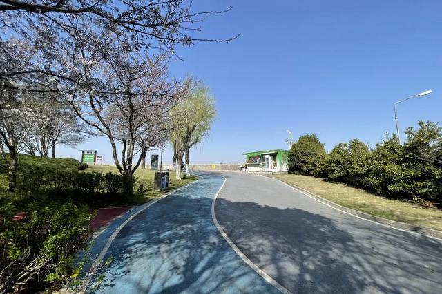 6.8km江岸秘境，去通江达海的宝山滨江，享受Chill生活
