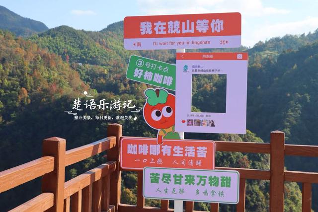 浙江绍兴这个山村火了，吊红柿子漫山红遍，美如童话却免费开放