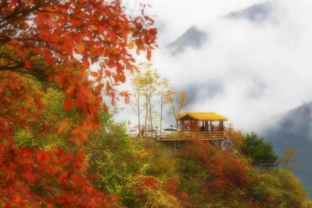 接下来的一个月，来汉中赏红叶就对了
