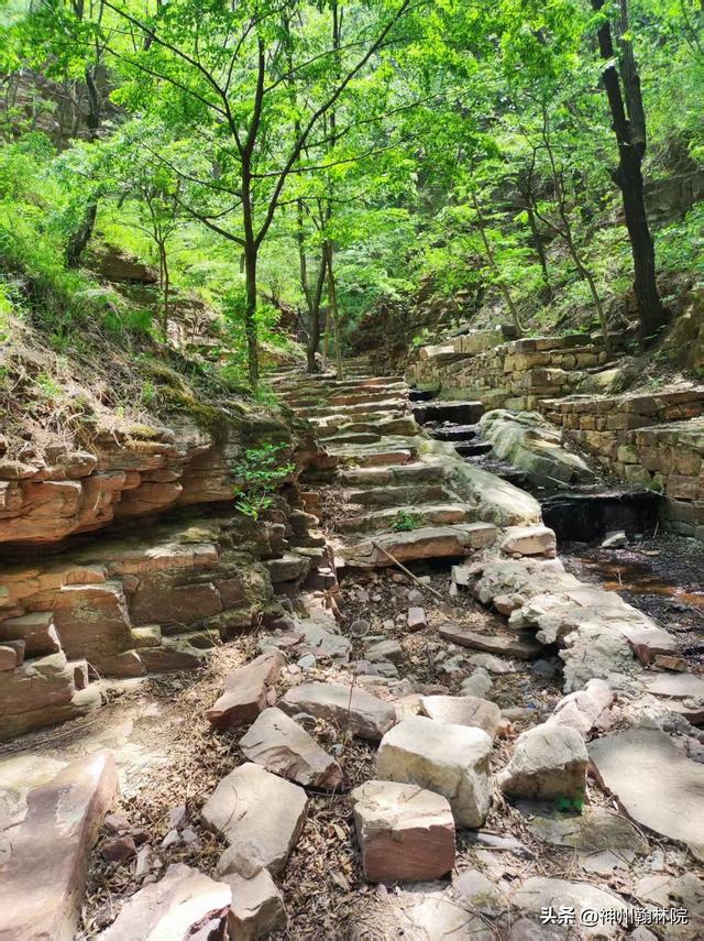 紫金山：邢台的“清凉世界”，徒步者的天堂