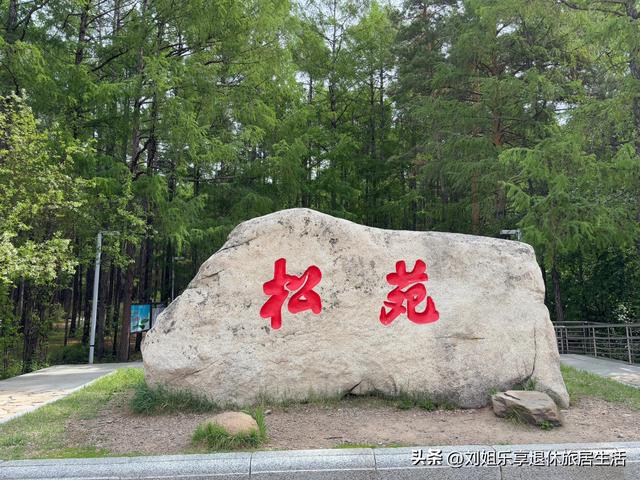 自驾331国道从黑河到漠河，一路找北寻北过程真实记录（二）