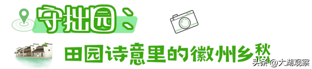 跟着董宇辉黄山游同款线路，玩转徽州烟火气