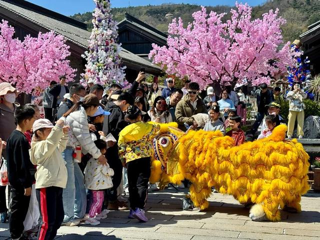 假期成绩单出炉！日照文旅热力十足！人气爆棚！