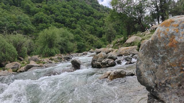 陇上行(八)冰沟河的诱惑,享受一个清凉的夏日!(7月28日)