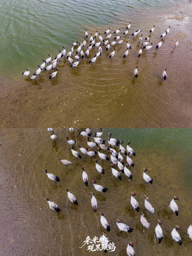 这个冬天，一定要来西藏看……