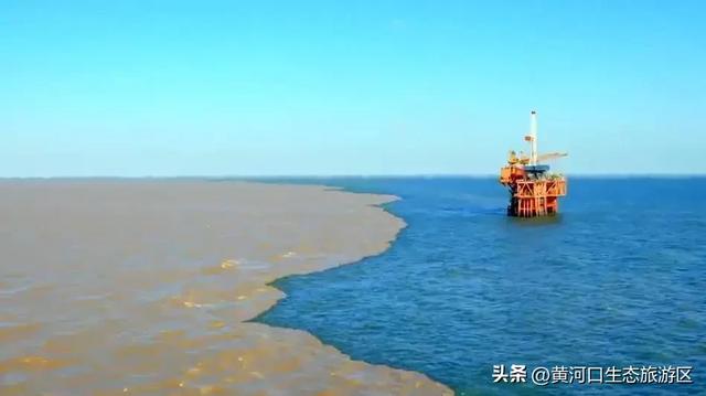 【黄河口生态旅游区】开学季 奔赴自然之美