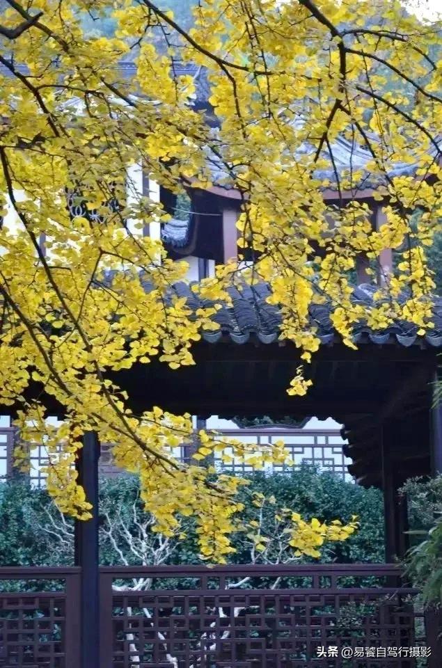 震撼！故宫瓦当，紫禁城守望者；中式美学老屋瓦当 只有中国人才懂