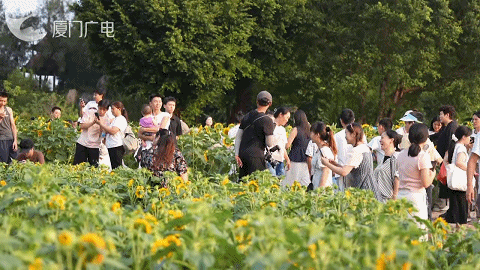国庆假期厦门“出圈”密码→