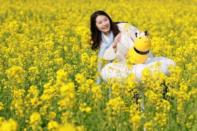 快乐值拉满！1月17日，来屏山赏油菜花海、免费吃彝家刨汤宴……