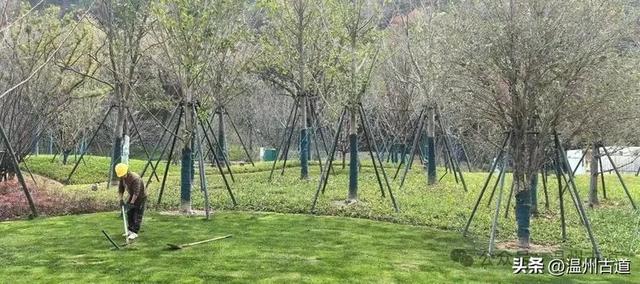 温州园博园将于2月试运营！走，上老虎山看南园北园是什么模样！