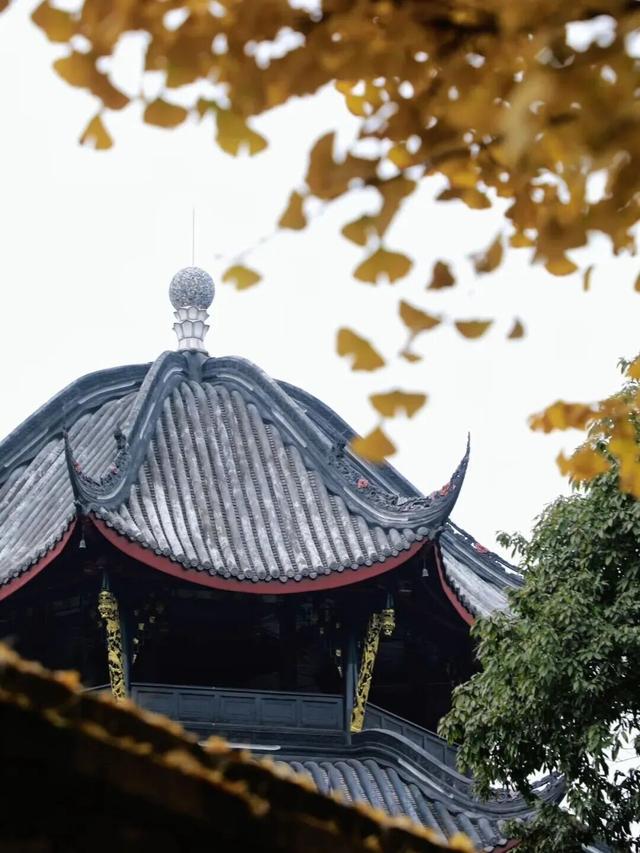 不用急，不用赶，来纯阳观拾起冬日慢时光