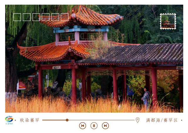北疆文化 遇鉴赛罕 | 秋染赛罕明信片上线！快来“云”赏秋