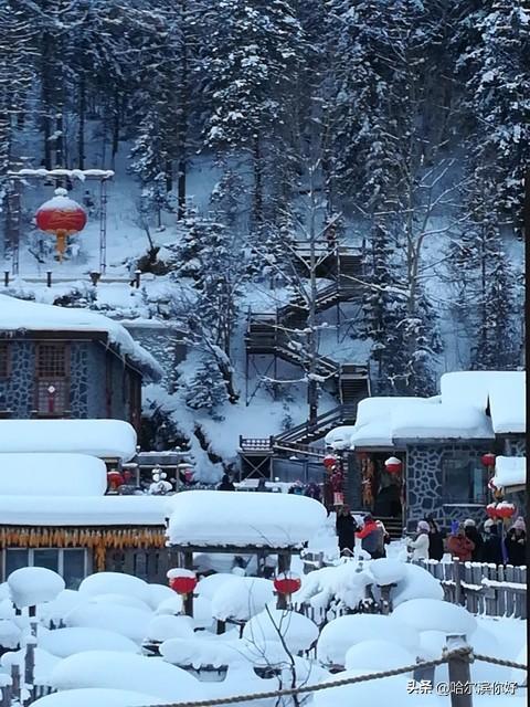 哈尔滨这5个地儿，本地人说比冰雪大世界更"带劲"