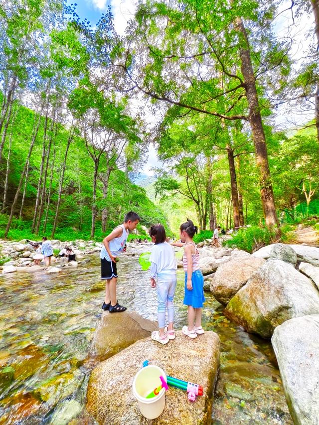 秦岭22℃的夏天 | 全部免费！西安6个避暑玩水遛娃好去处！