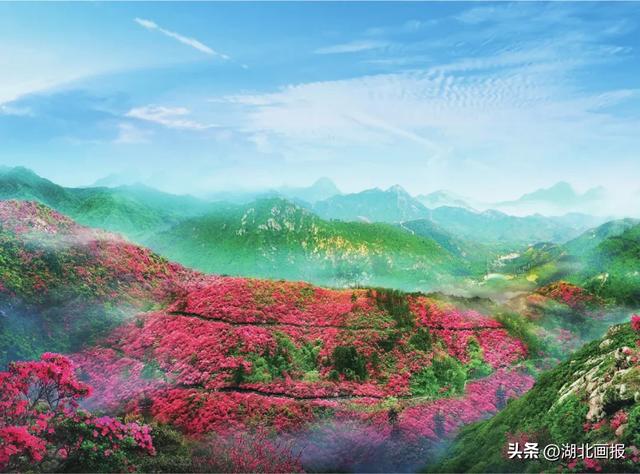 【知音湖北·魅力之城】十一不用去远方，黄陂就是好地方！
