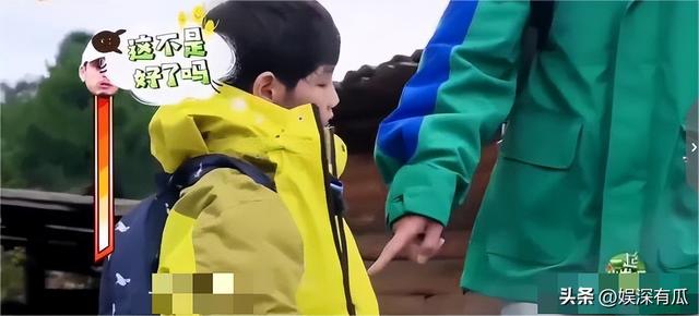 不顾央视警告顶风作案，与刘涛传绯闻的杨烁，如今下场怪不得别人