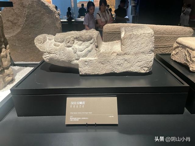 参观内蒙古博物院新馆