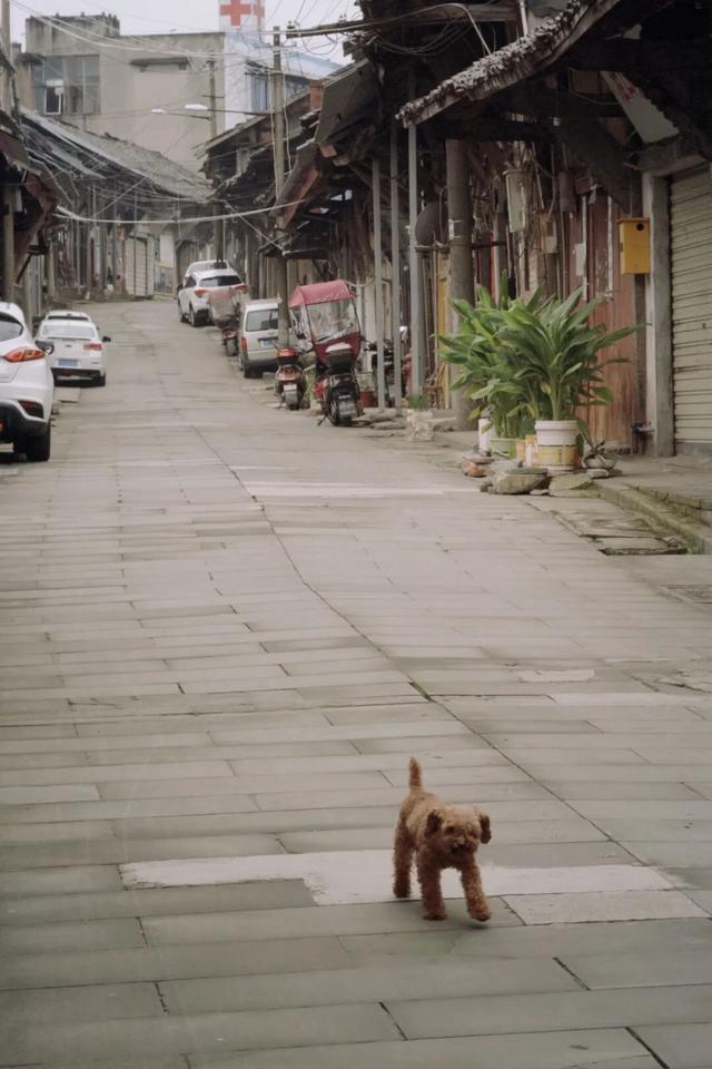 从成都出发，在龙泉山东麓邂逅一座千年场镇的温柔