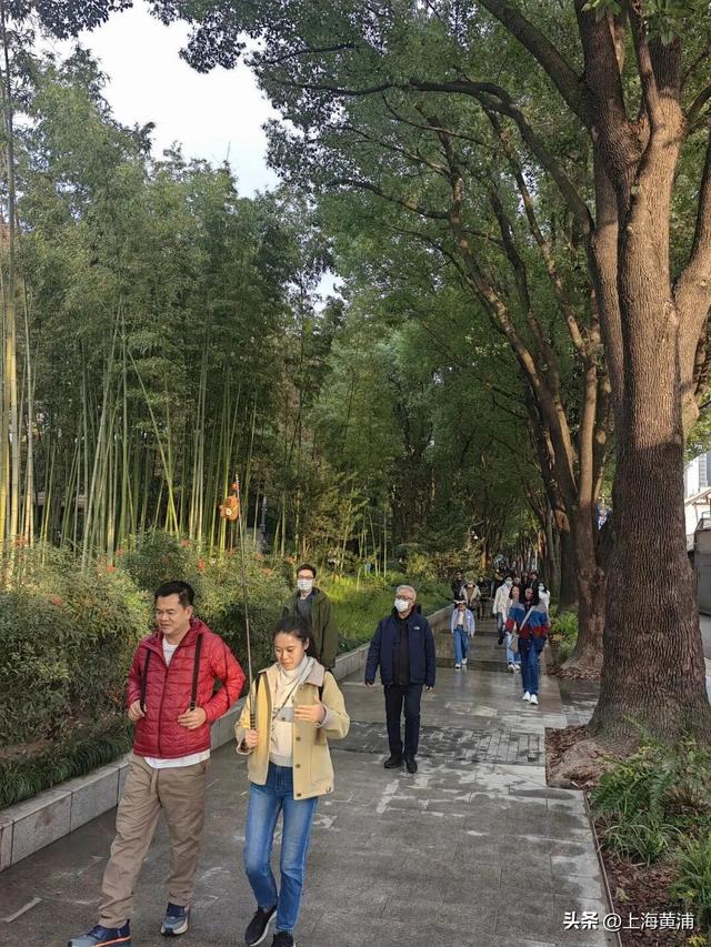 紧临外滩、豫园！居民游客都来打卡这片24小时不打烊的“森空间”：实在太美了！