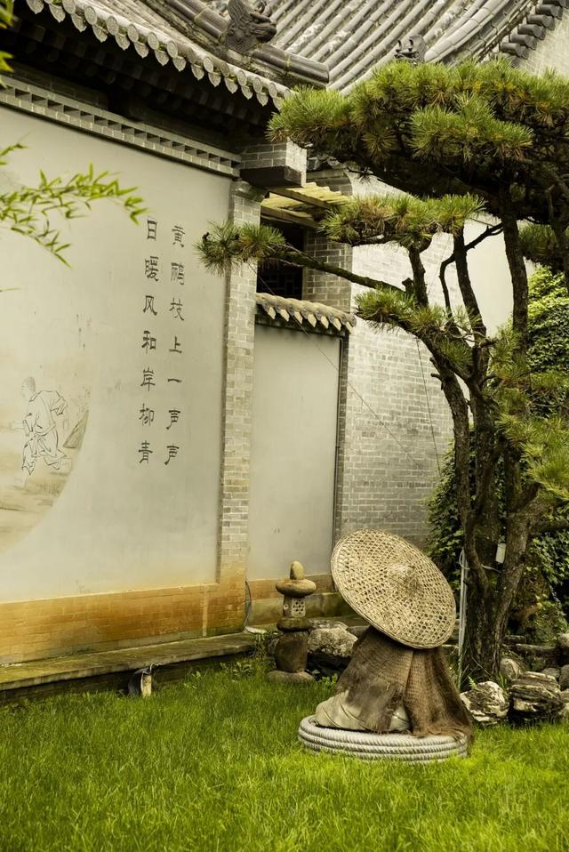 航小天带你看长安 | 霜降至，听风观金叶