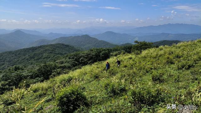 两次本溪南岭徒步记｜高山草甸，湖池松林，我被南岭种草