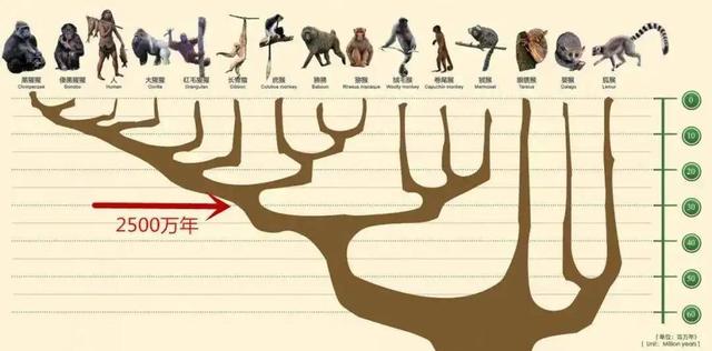 地球曾变成巨型冰球？寒武纪生命大爆发，揭露亿万年前的绝境翻盘