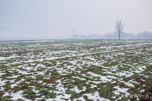 “上午立冬冻死牛，下午立冬暖烘烘	”，今日立冬不一般	，有啥说法