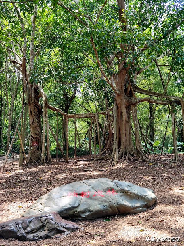 云南西双版纳，极具鲜明特色的旅游胜地。