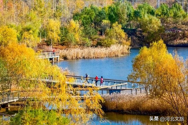 秦皇岛最大临海公园迎来"颜值巅峰",栈桥听海、枫林斑斓,打卡走起!