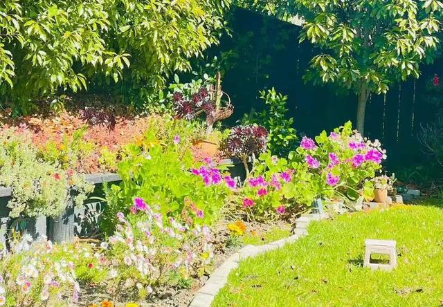 路上·布里斯班 ‖ 又出来赚小时来了