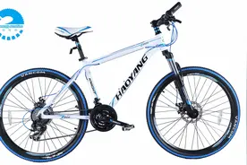 谈谈对变速车的基本认知图片