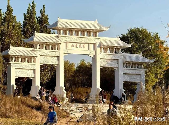 河北肃宁：红枫似火引客来 人文生态共绘秋韵画卷