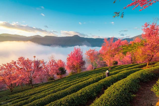 11月-1月，秋冬来云南，这10处绝美风景，是最佳观赏期