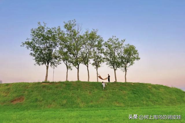 金秋打卡中国商丘华商节，共赴商业文明新征程