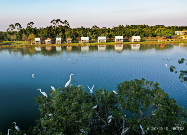 藏不住了！肇庆这个宝藏小镇，要火了!