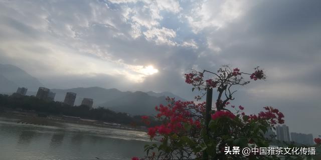 旅途美文：漫步米易