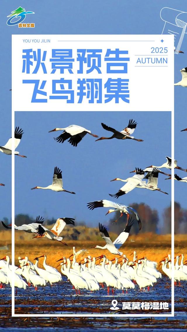 期待值拉满！秋天总要来趟吉林吧！