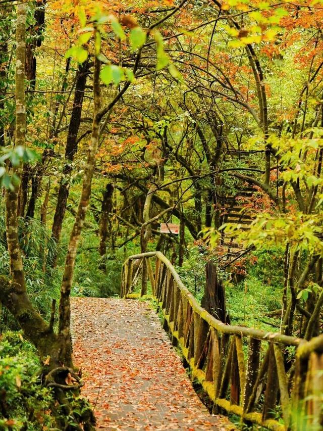 神图有了！在龙苍沟，出片还不是手拿把掐