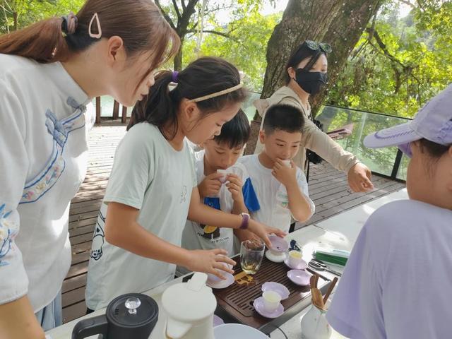 科技赋能生态守护，硒茶文化驱动创新