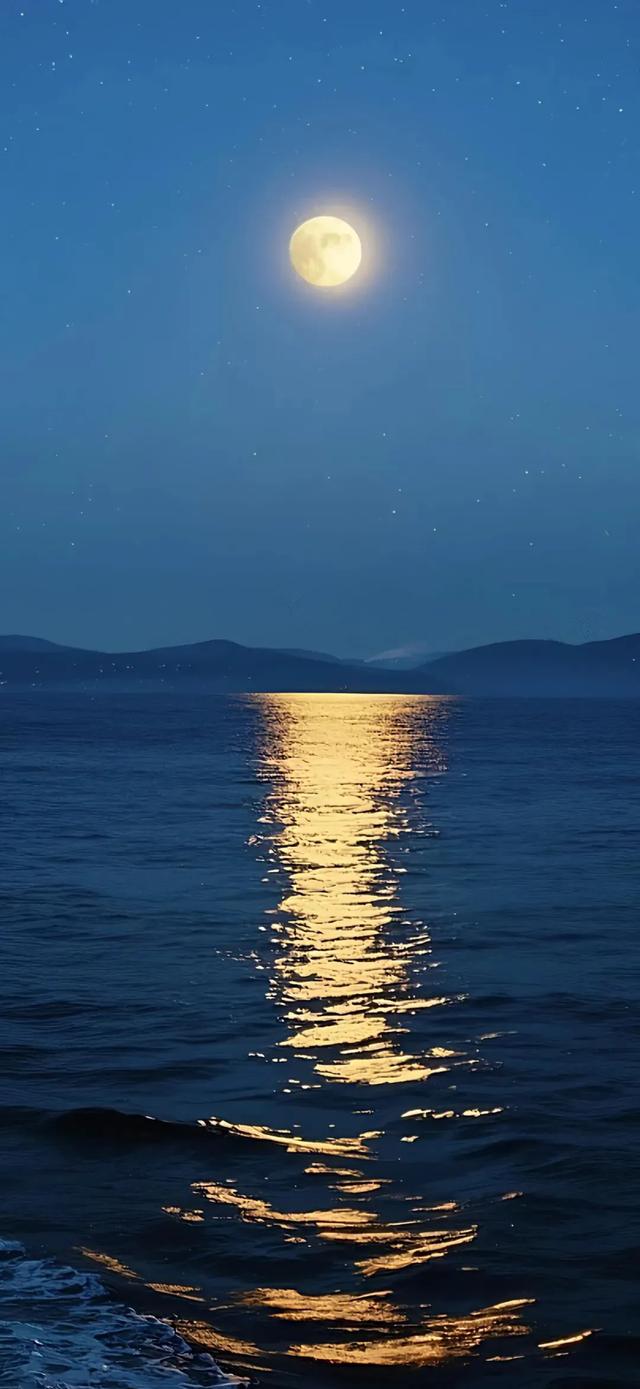 壁纸｜咸咸的海风扑面而来