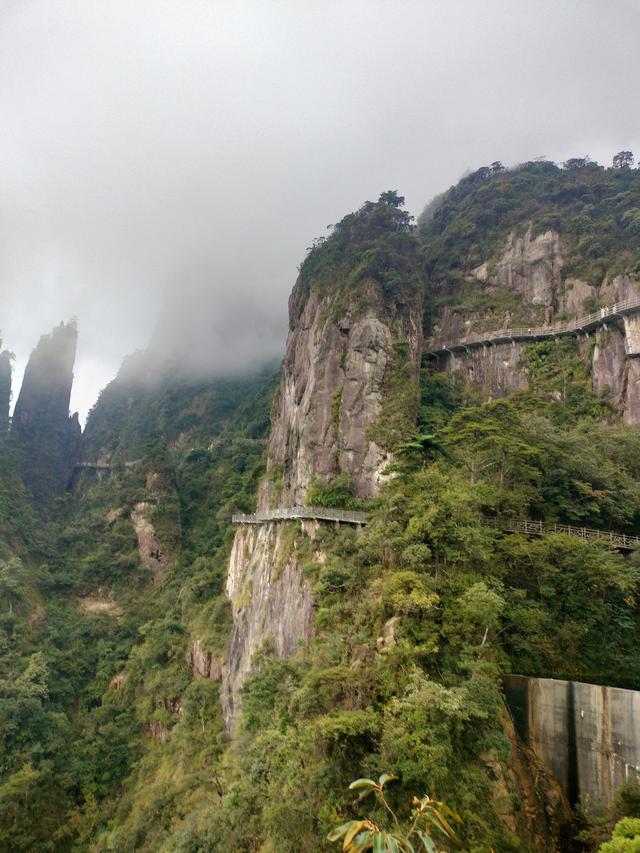 湘粤赣之旅（三）：莽山记