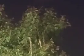 新疆多地现不明飞行物，目击者称和月亮一样亮，几秒内突然加速消失，气象部门回应图片