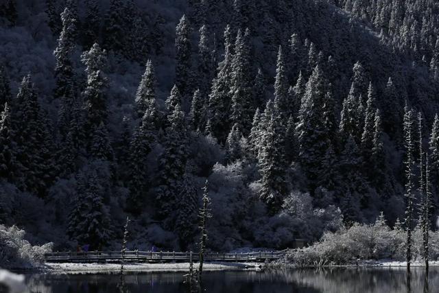 4860米云端告白指南！在达古冰川的日照金山下，说最甜的情话
