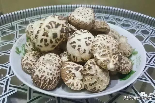 冲！2026佛坪茱萸花海踏春跑报名火热开启