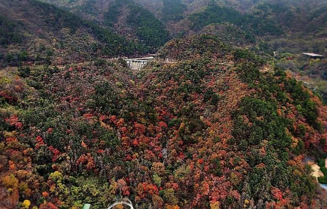 黄陂赏秋，这样玩才够味！