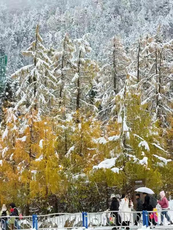 秋假追雪毕棚沟,没想到被安德服务区圈粉了!